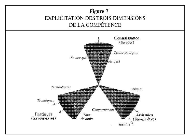 dimensions de la compétence.png